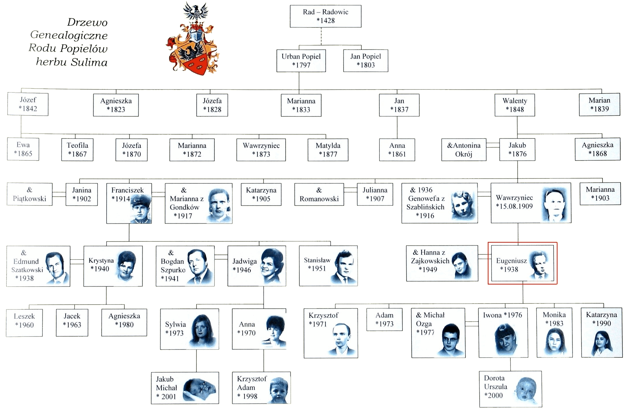 drzew genealogiczne